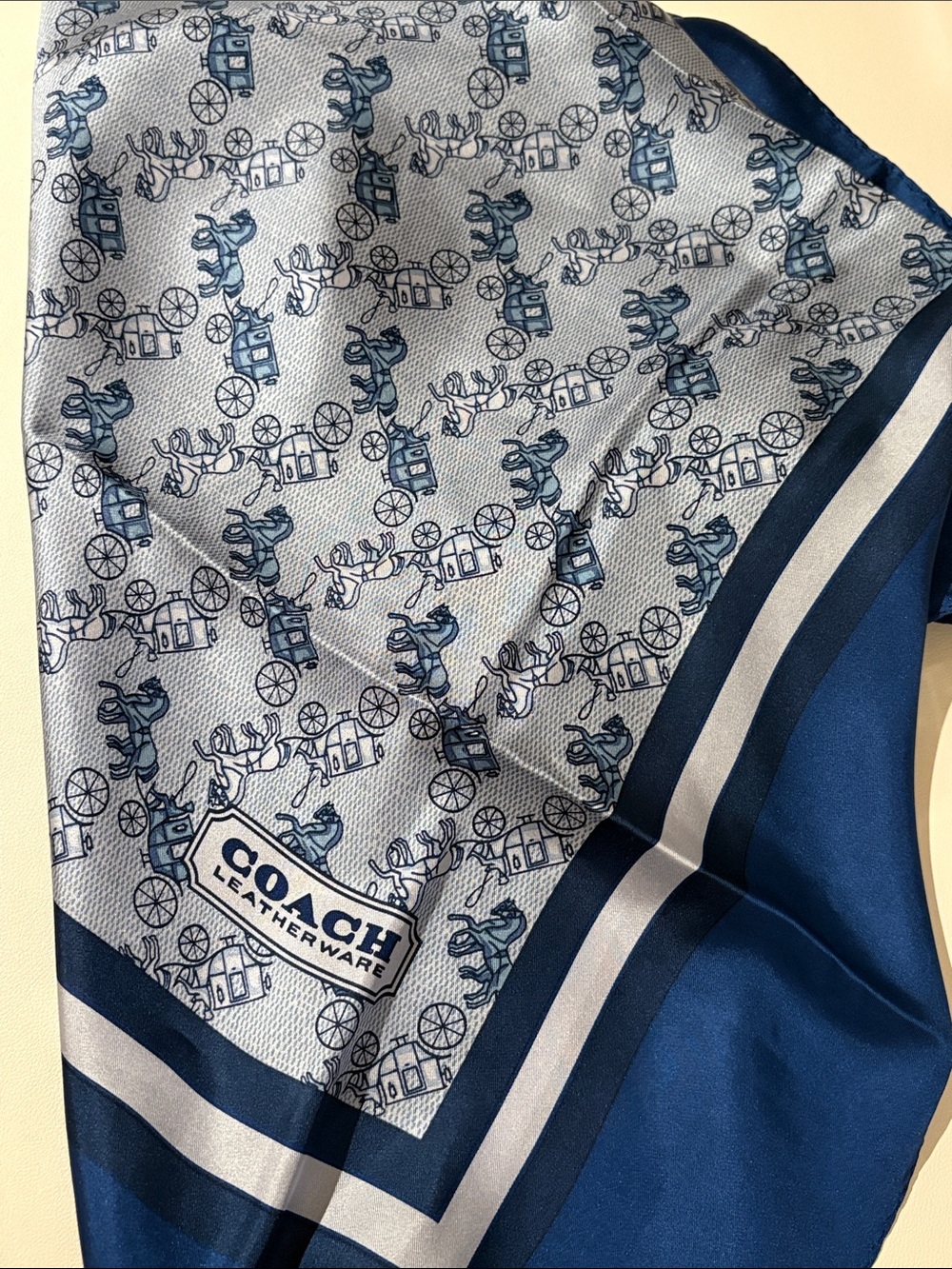 COACH Limited Edition 100% Silk Scarf